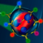 ILL-flowcytometry