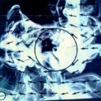 P-smokefield